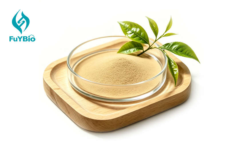 L-Theanine Green Tea Extract